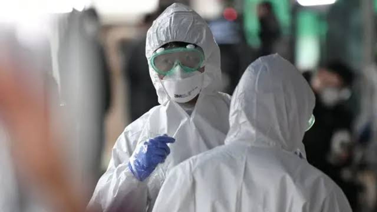 Almanya’da E. Coli salgınında can kayıpları artıyor.