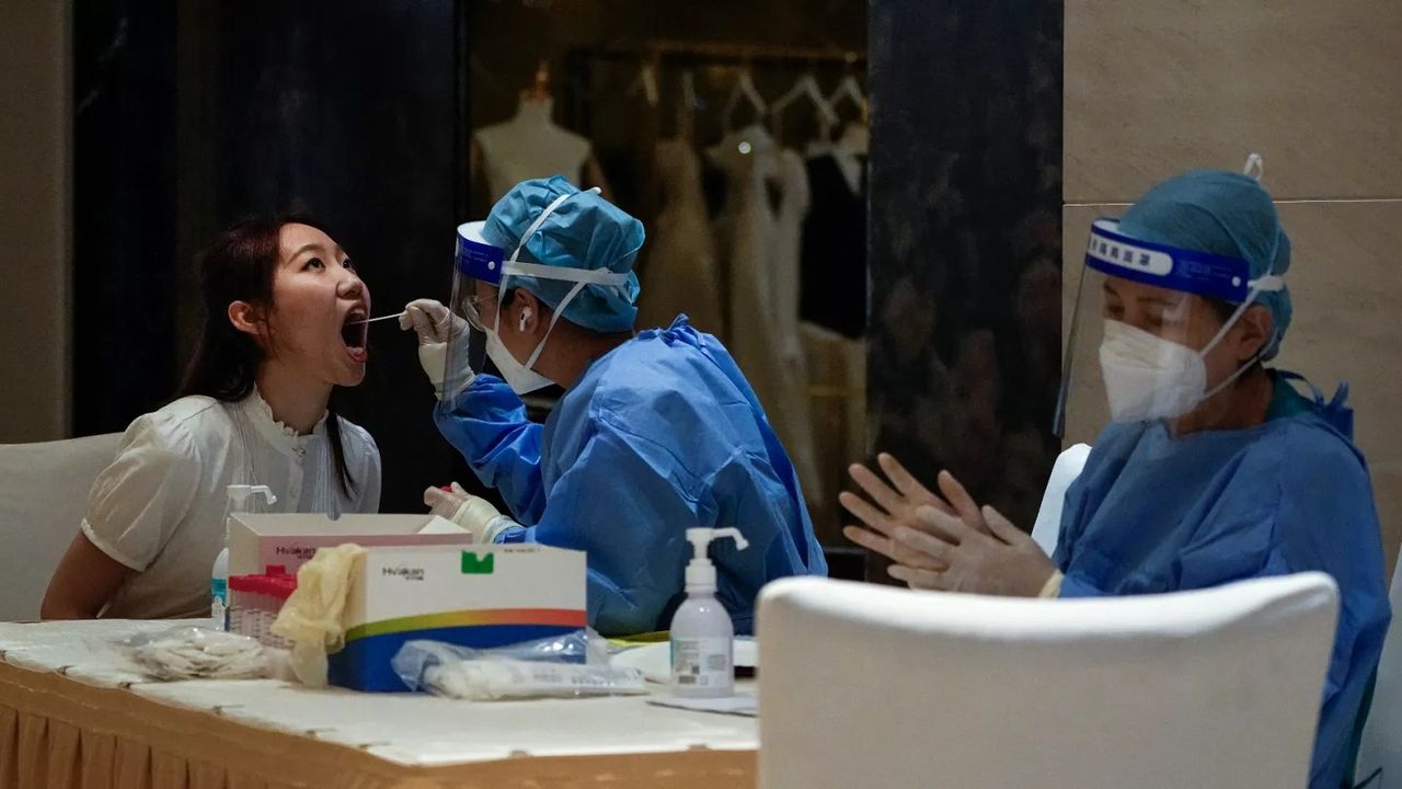 Hong Kong’da İlk Yerel Chikungunya Vakası Tespit Edildi