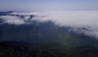 Bulutların Sarmaladığı Çam Dağı'nın Büyüleyici Görüntüleri