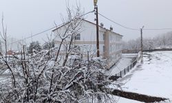 Bitlis'te eğitime kar engeli