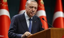 Cumhurbaşkanı Erdoğan, Hollanda ve Özbekistan Liderleriyle Diplomatik Görüşmeler Yaptı