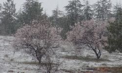 Malatya'daki kar yağışı "don" endişesini beraberinde getirdi