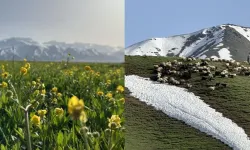 Yüksekova'da Doğanın Muhteşem İkilisi: Karlı Dağlar ve Yeşil Ovalar