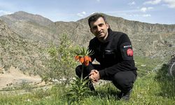 Selçuk Bayraktar’dan ‘Defol Kürdistan’dan’ diyen gazeteciye Kürtçe yanıt