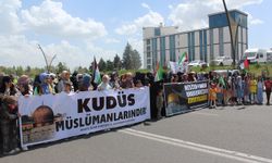 Bingöl İslami Kardeşlik ve Dayanışma Platformu Gazze'deki Zulme Karşı Yürüdü