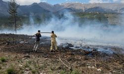 Adana'nın Pozantı İlçesindeki Orman Yangını Kontrol Altına Alındı"