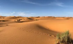 Afrika'nın Kalbindeki Gizemli Çöl: Kalahari'nin Sırları