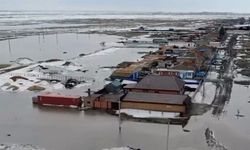 "Kazakistan'da Sel Felaketi: 5,7 Binden Fazla Çiftlik Hayvanı Telef Oldu"