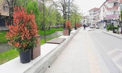 Yalova Belediyesi Mesire ve Gezi Yolu'nda Çevre Düzenlemesi İçin Çalışmalara Başladı