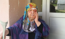 Edirne'de Sahipsiz Köpek Saldırısında Yaralanan 75 Yaşındaki Zehra Oluçay Korku İçinde