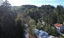 Türkiye’nin İlk Ağaç Müzesine Bahar Geldi: Atatürk Arboretumu Ziyaretçilerine Eşsiz Güzellikler Sunuyor