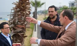 Çiftlikköy Belediye Başkanı Adil Yele, Sahil Mahallesi'nde İyileştirme Çalışmalarını Başlattı