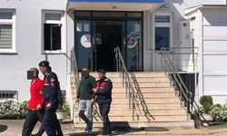 Altınova'da Hırsızlık Olayları ve Şüphelilerin Yakalanması