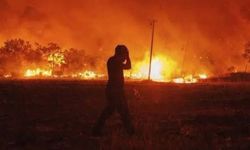 Diyarbakır ve Mardin'deki Anız Yangınıyla İlgili Adli Soruşturma Başlatıldı