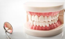 Doğuştan Diş Eksikliğine Çözüm: Diş çıkartan ilaç ne zaman piyasaya sürülecek?