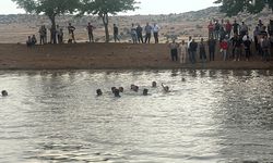 Gaziantep'te Gölete Giren 3 Kişi Hayatını Kaybetti!