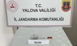 Yalova’da 71 Gram Skunk Ele Geçirildi