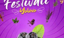 Yalova'da Aronya ve Tıbbi Aromatik Bitkiler Festivali İçin Stant Başvuruları Başladı