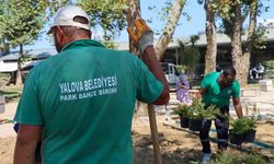 Yalova Mahaçkale Parkı'nda Yenileme Çalışmaları Hızla Devam Ediyor