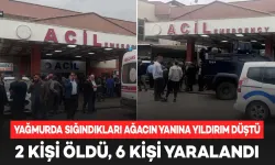 Şırnak'ta Sığındıkları Ağaca Yıldırım Düştü: 2 Ölü, 6 Yaralı