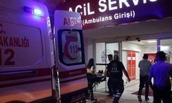 Adıyaman'da Feci Kaza: Hafif Ticari Araç Şarampole Devrildi, 2 Kişi Hayatını Kaybetti