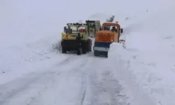 Dört İlde 644 Yerleşim Yerinin Yolu Kapandı!