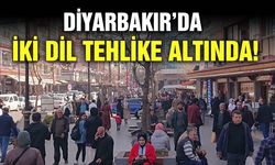 Diyarbakır'da Dünya Anadil Günü Etkinlikleri Başladı: Diyarbakır’da İki Dil Tehlike Altında!