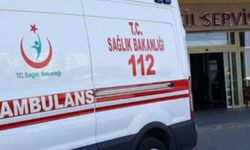 Başıboş köpeğe çarpmamak için manevra yapan araç kaza yaptı: 3 yaralı