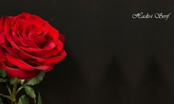 Kimin eliyle bir kimse Müslüman olursa, onun için Cennet vacip olur
