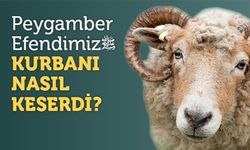 Peygamber Efendimiz (s.a.v) Kurbanını Nasıl Seçerdi? İşte Sünnete Uygun Kurbanlık Seçiminin Püf Noktaları
