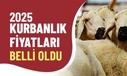 2025 Kurbanlık Fiyatları Ne Kadar Oldu? İl İl Güncel Kurbanlık Fiyatları