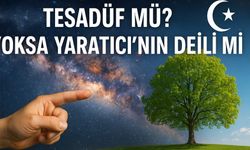 Allah’ın Varlığına Deliller: Yokluğun İspatı Mümkün Değil