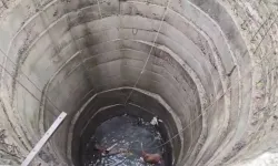 Kuyuya Düşen İnek 6 Can Aldı!