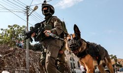Avrupa’dan İsrail’e Bir Başka Silah Desteği: Saldırı Köpekleri Sivillere Karşı Kullanılıyor