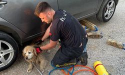 Çiftlikköy’de İtfaiyeden 4 Can İçin Kurtarma Operasyonu