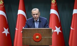 Cumhurbaşkanı Erdoğan: Orman Yangınlarıyla İlgili 31 Kişi Gözaltında, 10'u Tutuklandı