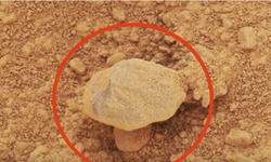 Uzay Araştırmacısı Ortalığı Karıştırdı: “Mars’ta Yaşam Gördüm!”