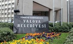 Yalova Belediyesi’nden Veterinerlik Hizmetleri İçin Geçici İşçi Alımı