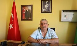 Yalovalı Üreticiler Don Felaketinden Ağır Zarar Gördü