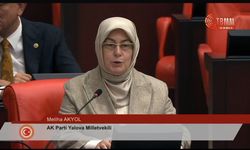 Yalova’nın Kurtuluşunun 104. Yılı TBMM’de Anıldı