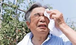 Japonya’da Sıcak Çarpması Vakaları 10 Bini Aştı, 16 Kişi Hayatını Kaybetti