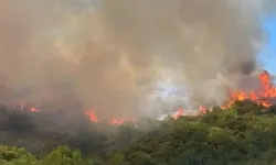 Denizgöründü’de Alevler Ormanı Sardı!