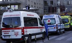 Portekiz’de Aşırı Sıcaklar Can Alıyor: 264 Kişi Hayatını Kaybetti