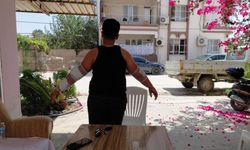 Hatay’da sahipsiz köpeğin saldırısına uğrayan çocuk yaralandı.