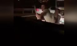 Ankara’da Yol Verme Tartışması Baltalı Saldırıya Dönüştü: 2 kişi yakalandı!