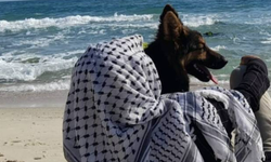 Gazze’de Bir Köpek Kurtarıldı, Sahibi Unutuldu