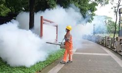 Çin’de Chikungunya salgını: Acil durum ilan edildi.