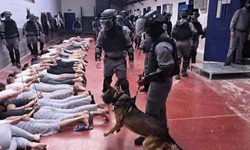 Gazze Sağlık Bakanlığı: Sde Teiman Kampından Getirilen 135 Filistinlinin Cesedinde İşkence İzleri Bulundu