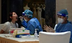 Hong Kong’da İlk Yerel Chikungunya Vakası Tespit Edildi