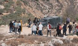 İşgal güçleri, Batı Şeria’da Filistinlilerin zeytin hasadını engelliyor